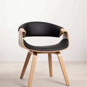 CHAISE BINSA